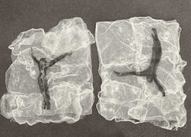 Seeking Asylym 1 & 2 Seeking-Asylym-1-&-2