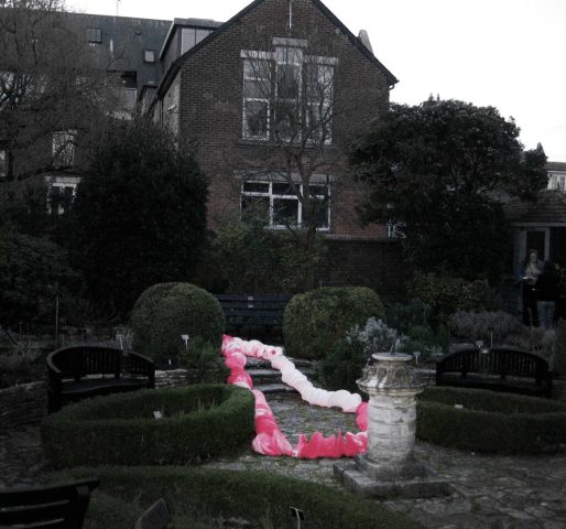 Giant Glow Worm in the Garden giant-glow-worm-garden